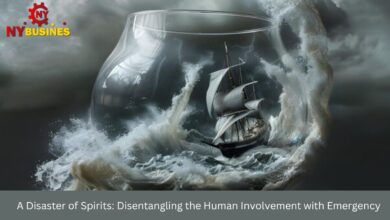 A Disaster of Spirits: Disentangling the Human Involvement with Emergency