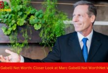 Marc Gabelli Net Worth: Closer Look at Marc Gabelli Net WorthNet Worth